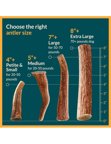 Astas de Alce para Perros REXIPETS - Pequeñas y Naturales