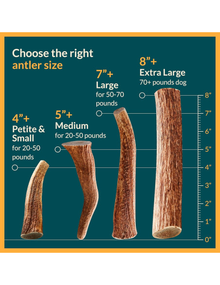 Astas de Alce para Perros REXIPETS - Pequeñas y Naturales
