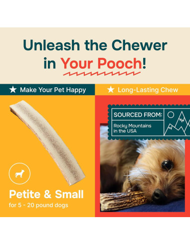 Astas de Alce para Perros REXIPETS - Pequeñas y Naturales