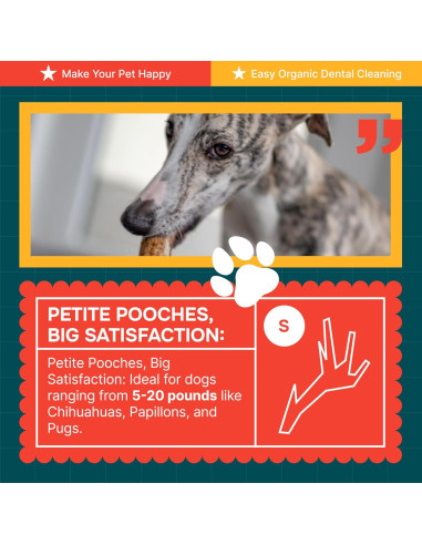 Astas de Alce para Perros REXIPETS - Pequeñas y Naturales