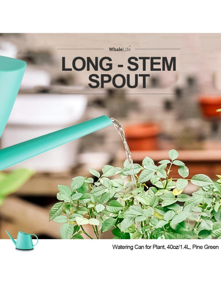 Regadera Interior WhaleLife 1.4L Verde Pino para Bonsai