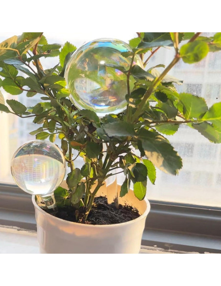 Esferas de Riego Histely 6PCS Vidrio Arcoíris 21.84cm