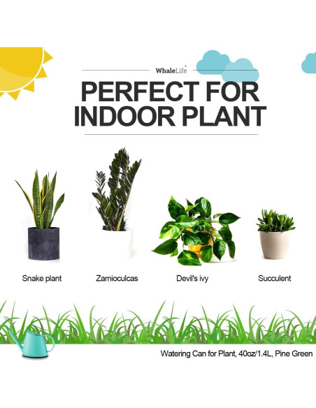 Regadera Interior WhaleLife 1.4L Verde Pino para Bonsai
