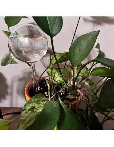 Esferas de Riego Histely 6PCS Vidrio Arcoíris 21.84cm