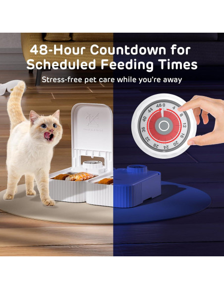 Alimentador Automático iPettie para Perros y Gatos 710ml