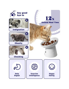 Comedero Elevado para Gatos Y YHY Cerámica Antivómito 15 cm 2