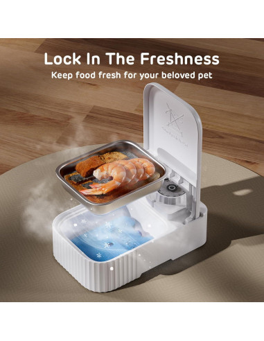 Alimentador Automático iPettie para Perros y Gatos 710ml