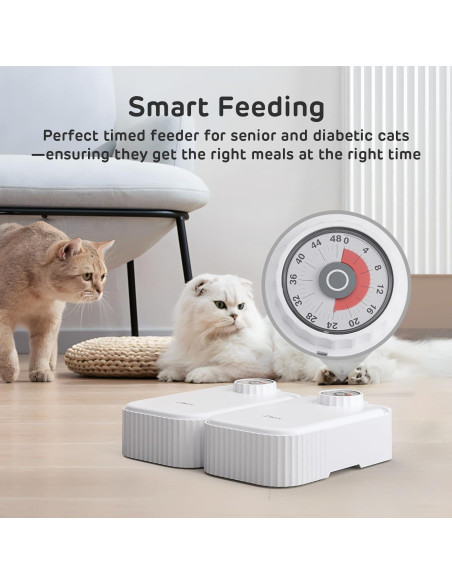 Alimentador Automático iPettie para Perros y Gatos 710ml