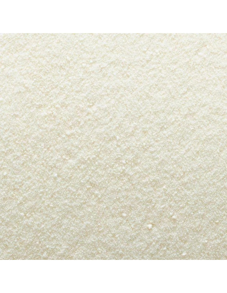 Polvo de Vinagre de Sidra de Manzana Orgánico Frontier 454g