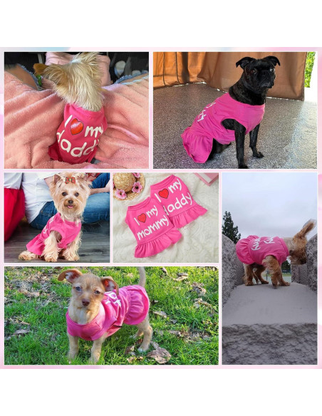 Vestido para Perro Pequeño Dosuyi Rosa Amor Papá 23cm