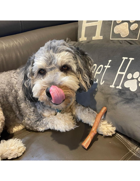 Juguete para Perros Bam-Bones Plus - Fibra de Bambú 14.61 cm Juguete para Perros Bam-Bones Plus - Fibra de Bambú 14.61 cm