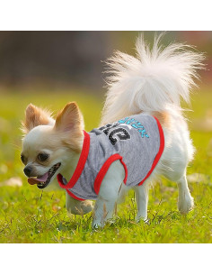 Conjunto 4 Piezas Ropa para Perros Dinkinty XXS~M Colores 2