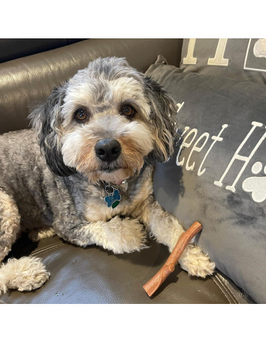 Juguete para Perros Bam-Bones Plus - Fibra de Bambú 14.61 cm