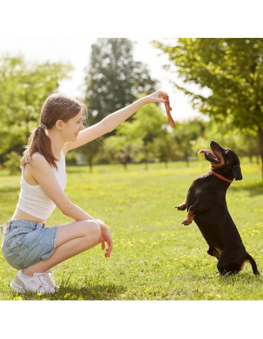 Juguete para Perros Bam-Bones Plus - Fibra de Bambú 14.61 cm