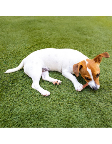 Juguete para Perros Bam-Bones Plus - Fibra de Bambú 14.61 cm