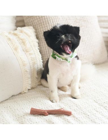 Juguete para Perros Bam-Bones Plus - Fibra de Bambú 14.61 cm