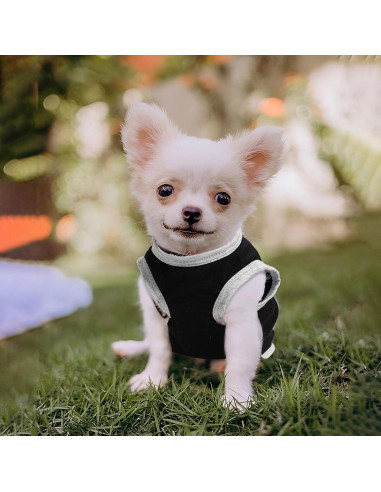 Conjunto 4 Piezas Ropa para Perros Dinkinty XXS~M Colores