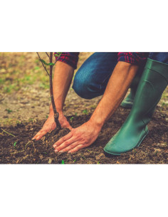 Juego de Jabón Artesanal de Leche de Cabra BOGUE No.11 - 170g 2