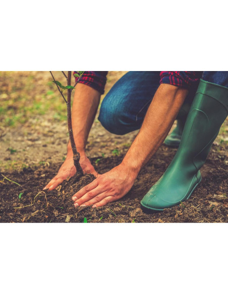 Juego de Jabón Artesanal de Leche de Cabra BOGUE No.11 - 170g Juego de Jabón Artesanal de Leche de Cabra BOGUE No.11 - 170g