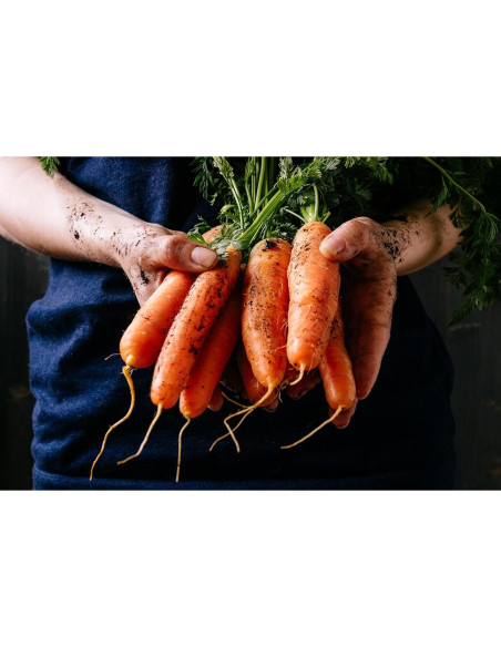 Juego de Jabón Artesanal de Leche de Cabra BOGUE No.11 - 170g Juego de Jabón Artesanal de Leche de Cabra BOGUE No.11 - 170g