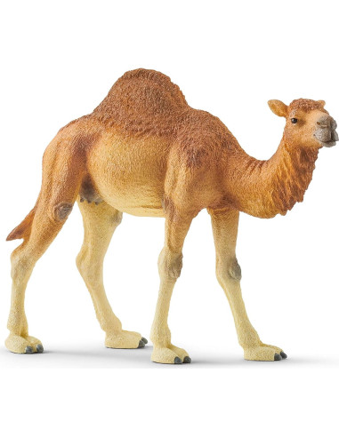 Figura Dromedario Schleich Wild Life 9.91 cm Juguete Educativo