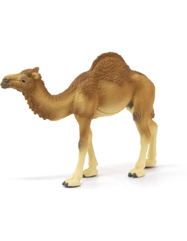 Figura Dromedario Schleich Wild Life 9.91 cm Juguete Educativo