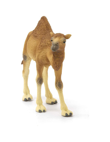 Figura Dromedario Schleich Wild Life 9.91 cm Juguete Educativo