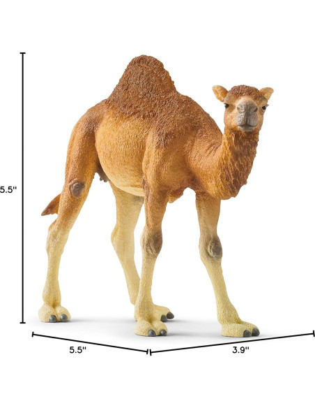 Figura Dromedario Schleich Wild Life 9.91 cm Juguete Educativo