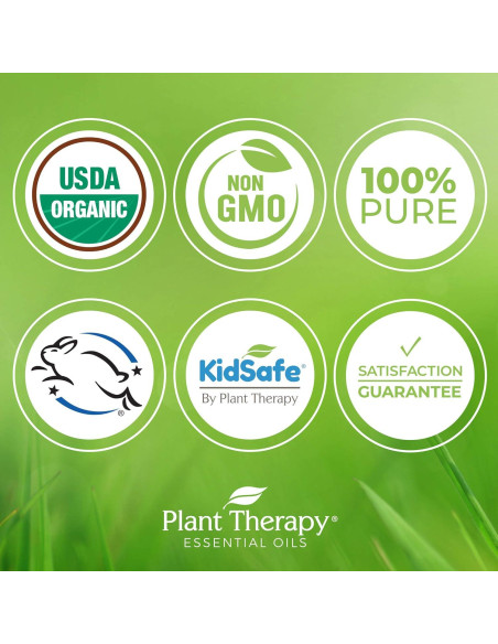 Aceite Esencial de Jengibre CO2 Orgánico 10 mL - Plant Therapy