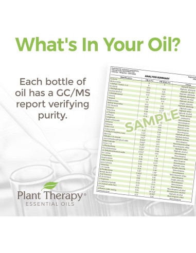 Aceite Esencial de Jengibre CO2 Orgánico 10 mL - Plant Therapy