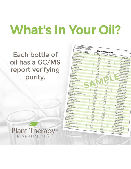 Aceite Esencial de Jengibre CO2 Orgánico 10 mL - Plant Therapy