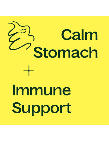 Cápsulas de Jengibre Plant Therapy 120 Unidades - Salud Digestiva