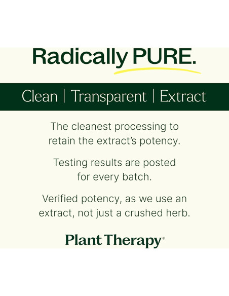 Cápsulas de Jengibre Plant Therapy 120 Unidades - Salud Digestiva