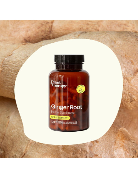 Cápsulas de Jengibre Plant Therapy 120 Unidades - Salud Digestiva