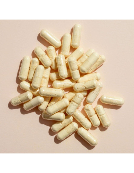 Cápsulas de Jengibre Plant Therapy 120 Unidades - Salud Digestiva