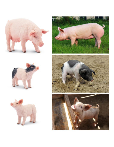 Conjunto de Figuras de Cerdo Realistas Toymany 32PCS