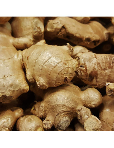 Extracto Herbal de Jengibre Orgánico Respuesta de la Naturaleza 60 ml