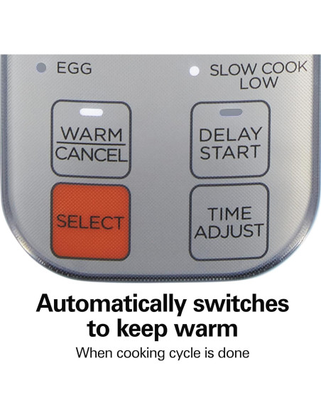 Cocinero de Arroz Digital Programable Hamilton Beach 12 Tazas