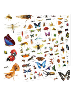 Pegatinas de Insectos Genérico 840 Piezas Decorativas