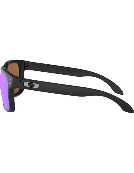 Gafas de Sol Oakley Holbrook OO9102 + Accesorios VISIOVA