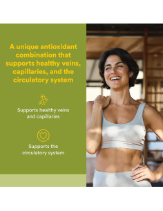 Castaño de Indias HerbalFactors 60 Cápsulas Antioxidantes 2