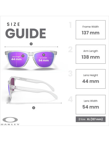 Gafas de Sol Oakley Frogskins OO9245 con Lentes Prizm Violet