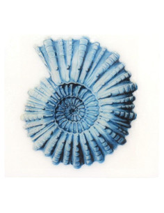 Jabón de Glicerina Aromatizado Té Trébol Rojo Eclectic Lady 113g