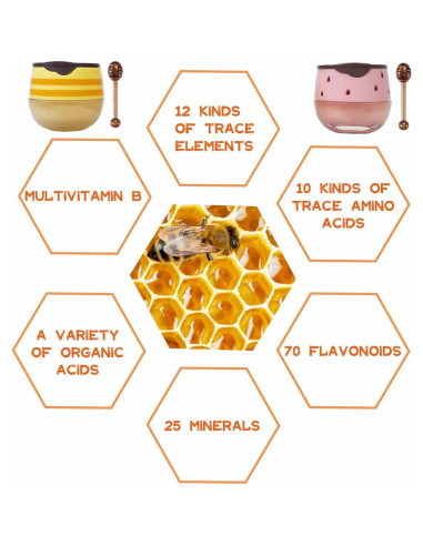 Bálsamo Labial Hidratante S-SNAIL-OO Miel y Fresa 2PCS