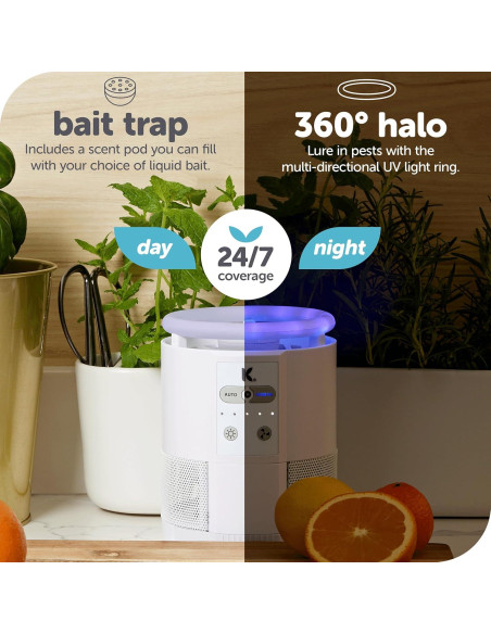 Trampa de Insectos Katchy Duo con Aroma - Interior - Negro Trampa de Insectos Katchy Duo con Aroma - Interior - Negro