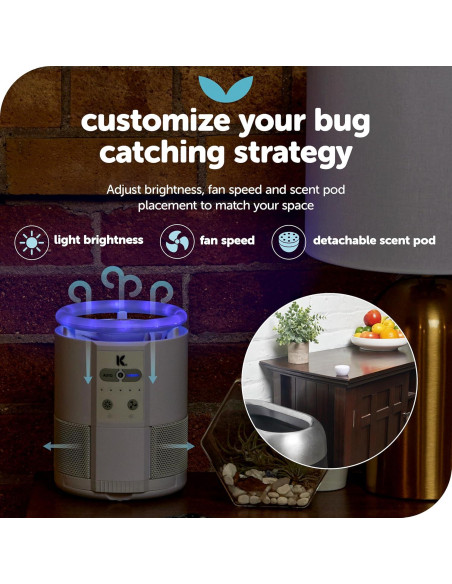 Trampa de Insectos Katchy Duo con Aroma - Interior - Negro Trampa de Insectos Katchy Duo con Aroma - Interior - Negro