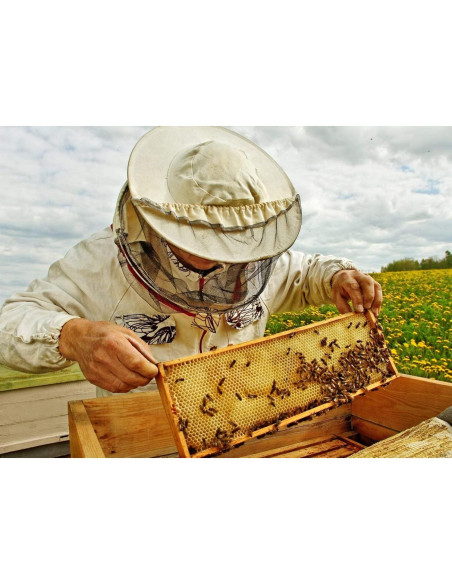 Cera de Abeja Orgánica 100% Pura US Organic 113.4 g Blanca