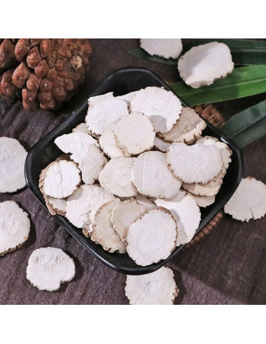 Raíz Angelica Dahurica 500g Pura Natural Baizhi Suplemento Herbal