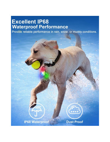 Luces LED para Collar de Perro DAAMENT Recargables Negras