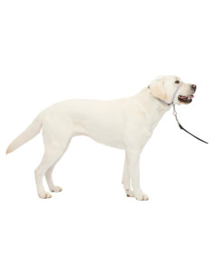 Collar de Cabeza PetSafe Gentle Leader Grande Plata